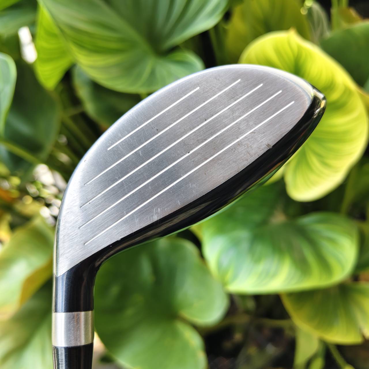 HONMA TW747 FAIRWAY WOOD #3 (15°) ก้าน VIZARD FLEX S — พรีเมียมตรงจาก Sakata, Japan 🇯🇵