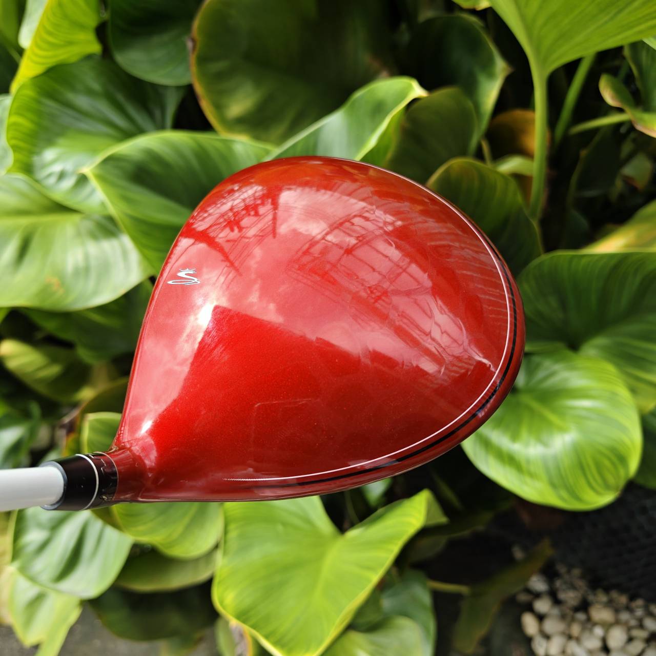 Driver COBRA BIO CELL มันส์มาก!!! SMART PRO FLEX R พร้อมที่ไข!!