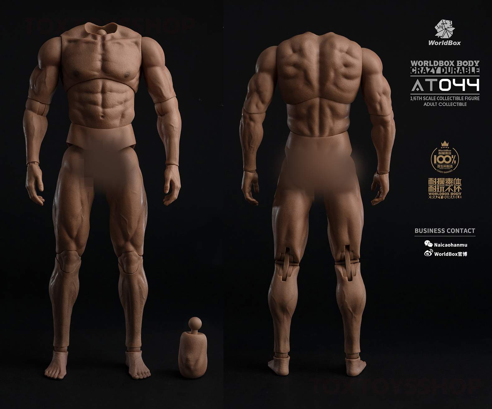 [สั่งจอง] Worldbox AT044 1/6 : Durable Body