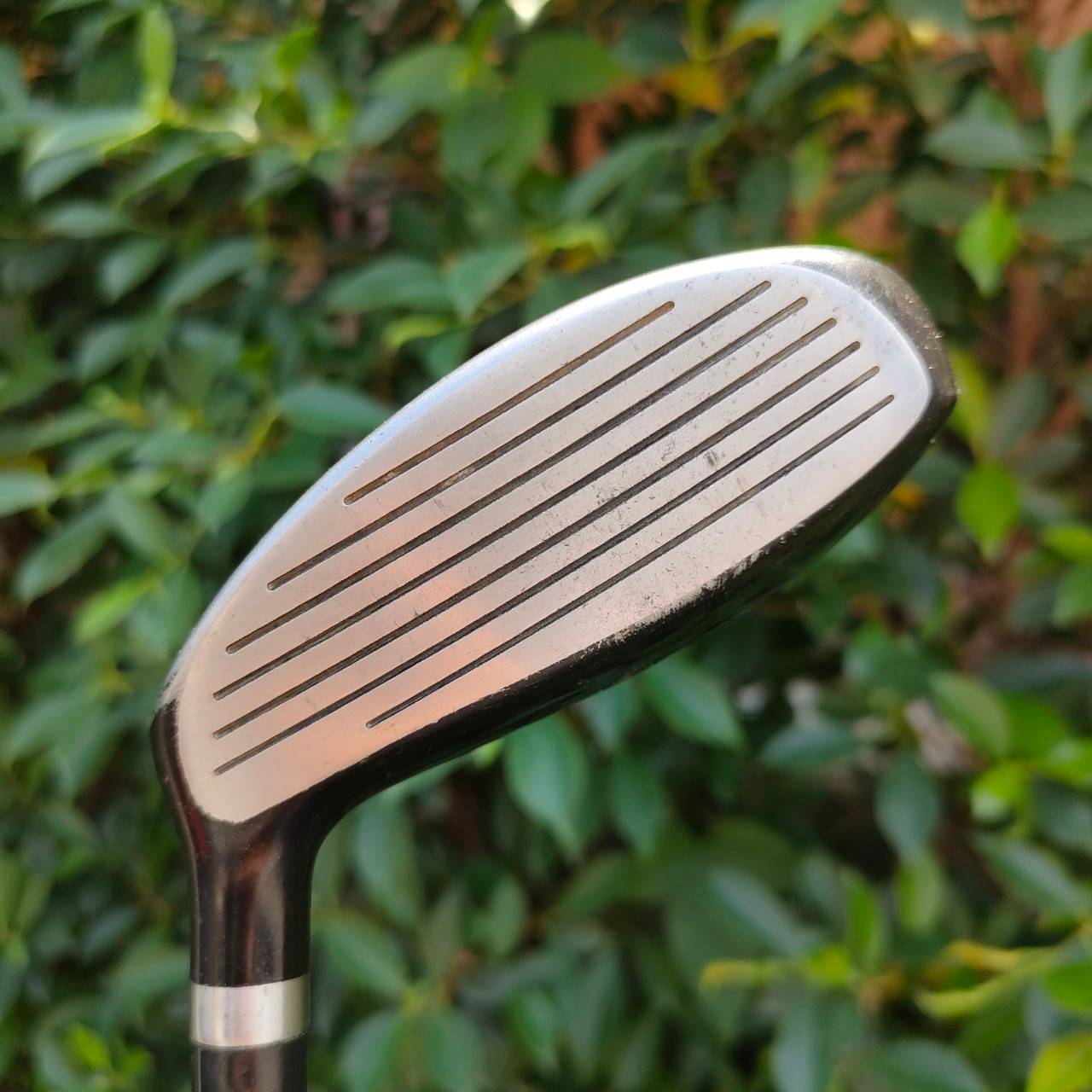 FW5 GOSEN DREANV EYE SUPER ELASTIC ก้าน GOSEN FLEX R