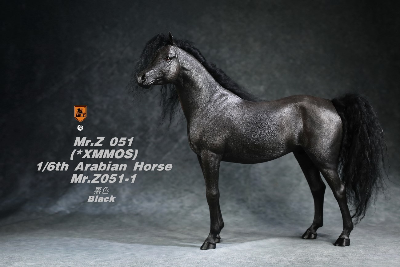 [สั่งจอง]Mr.Z MRZ051 1/6 animal model : Arabian Horse