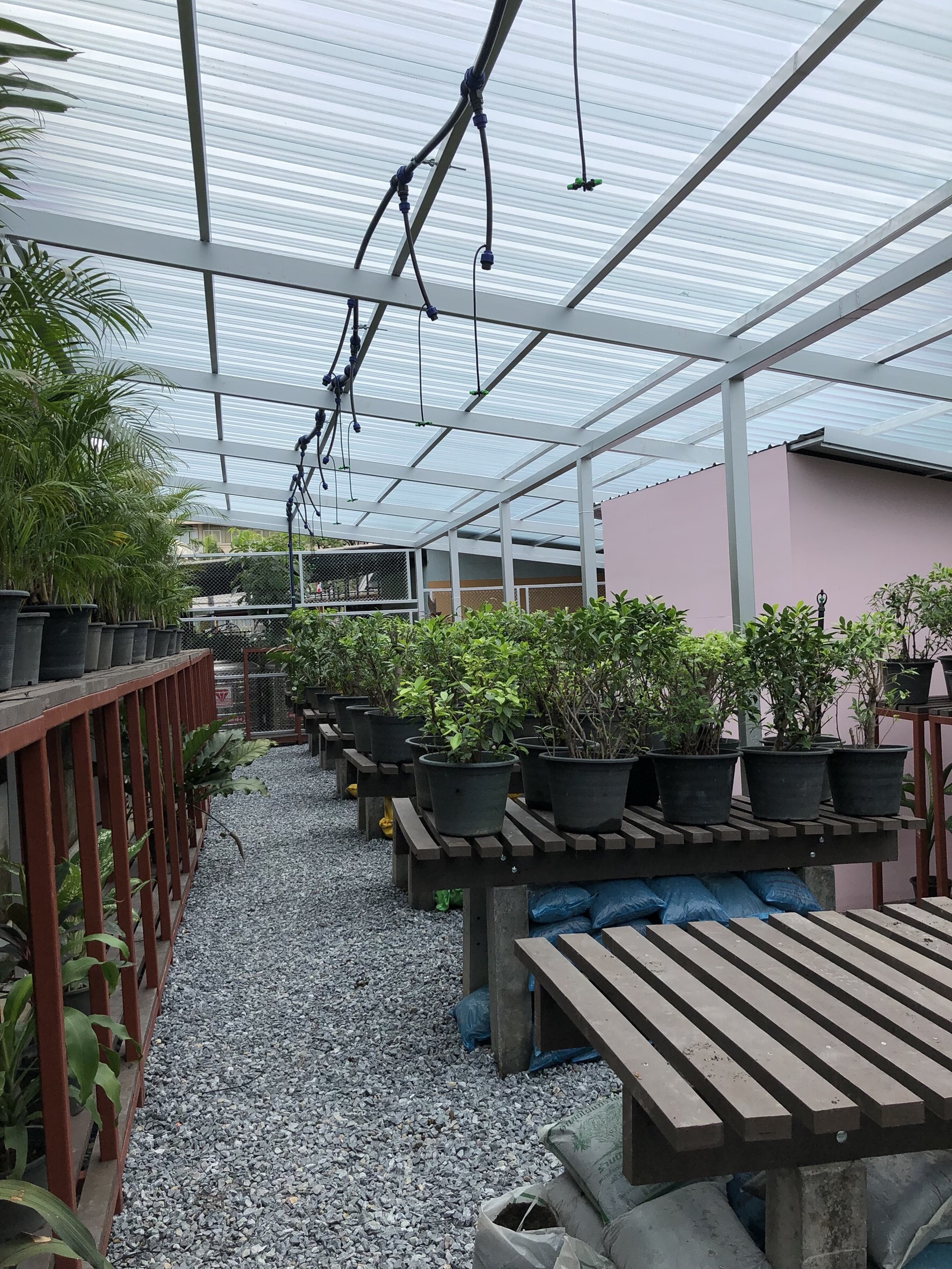 งานเรือนเพาะชำ กองทัพเรือ