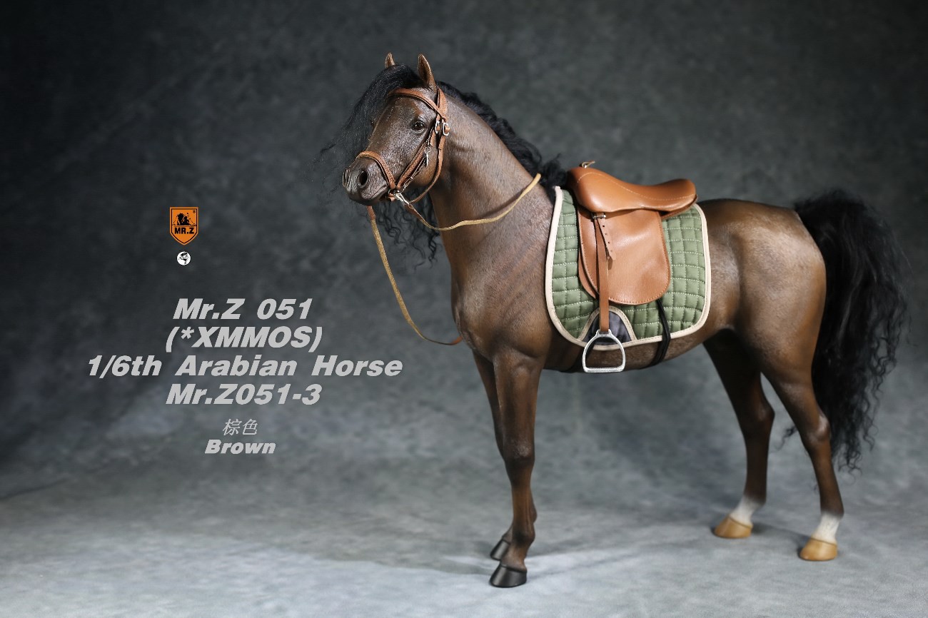[สั่งจอง]Mr.Z MRZ051 1/6 animal model : Arabian Horse