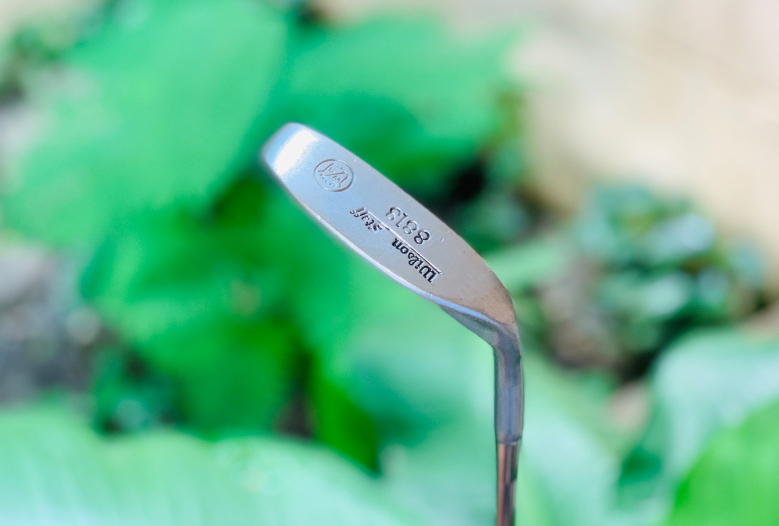PUTTER WILSON STAFT 8818