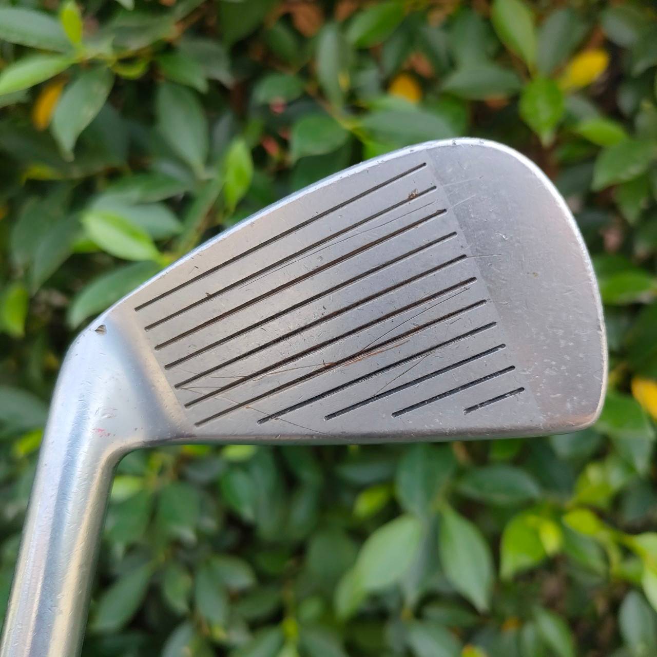 เหล็ก 5 HONMA CL-708 ก้าน T-800 วัสดุ CABON สุดพรีเมี่ยม เหล็ก FORGED JAPAN PREMIUM