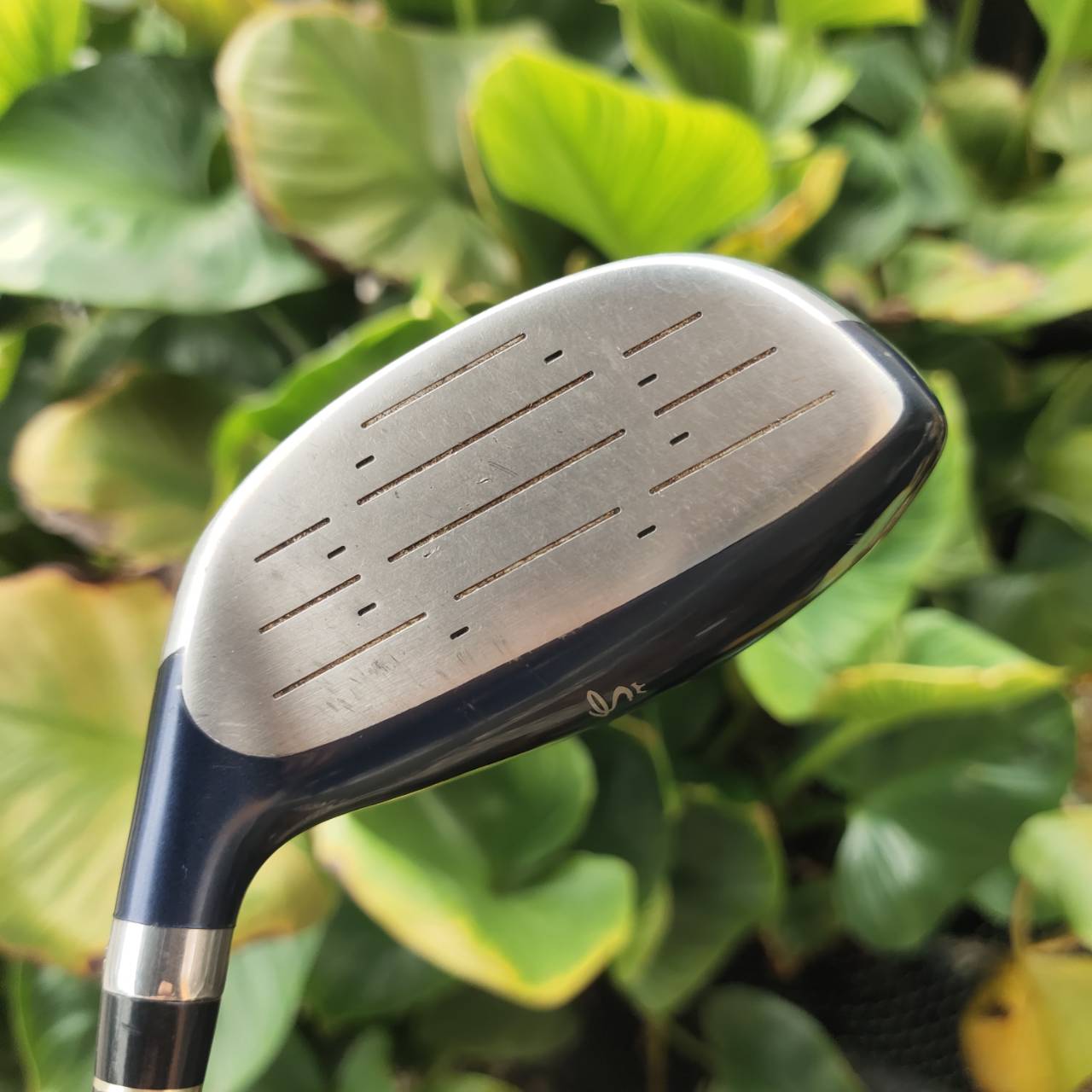 ไม้กอล์ฟผู้หญิง 3W - KING COBRA M/SPEED OFFSET หน้าเด้งมาก กระดองเด้งด้วย