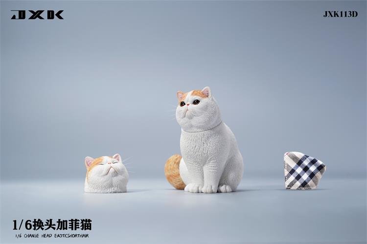 [สั่งจอง]JXK JXK113 1/6 : Change Head Exoticshorthair