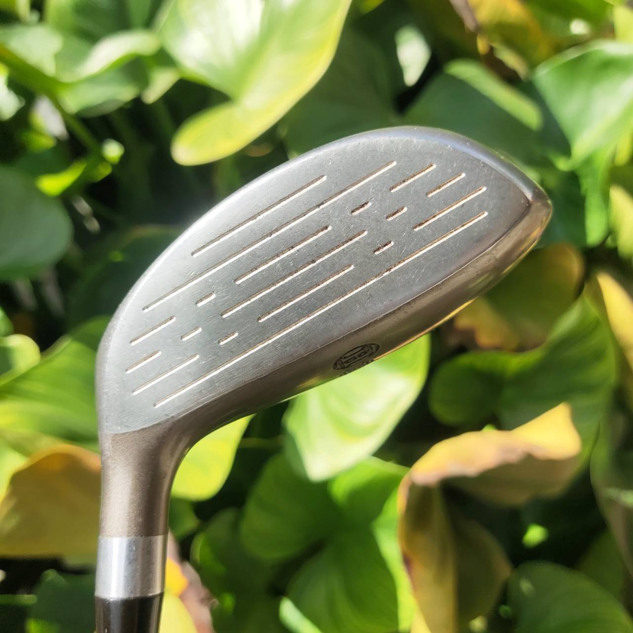 U17 Honma Twin Marks Dual Attack ก้าน DORIC III ★★ สองดาวสุดพรีเมี่ยม ตีดีระดับเทพเจ้า!