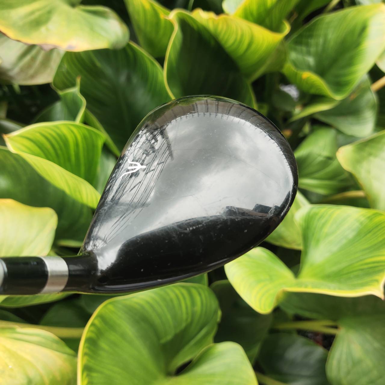 5W MIZUNO RV-03 ก้าน UST MAMIYA หน้าไม้บาง Ball Speed ดี ลูกพุ่ง สปินต่ำ