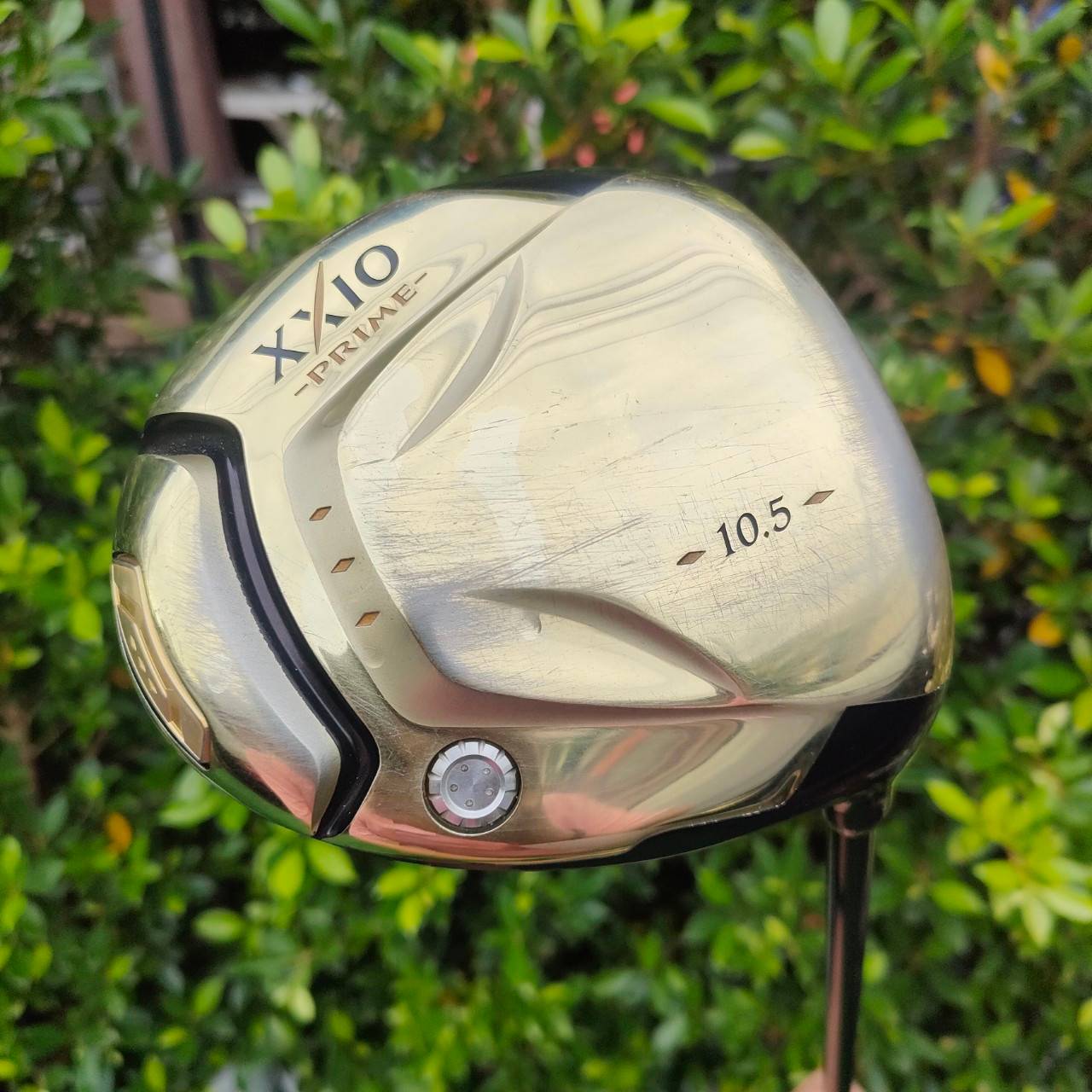 DRIVER XXIO PRIME ก้าน XXIO PRIME SP-600 FLEX SR องศา 10.5 สุดยอดไดร์เวอร์พรีเมี่ยมหน้าเด้ง แบรนด์อันดับ 1 จากประเทศญี่ปุ่น