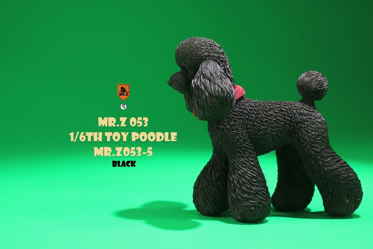 [สั่งจอง]Mr.Z MRZ053 animal model 1/6 : Toy Poodle