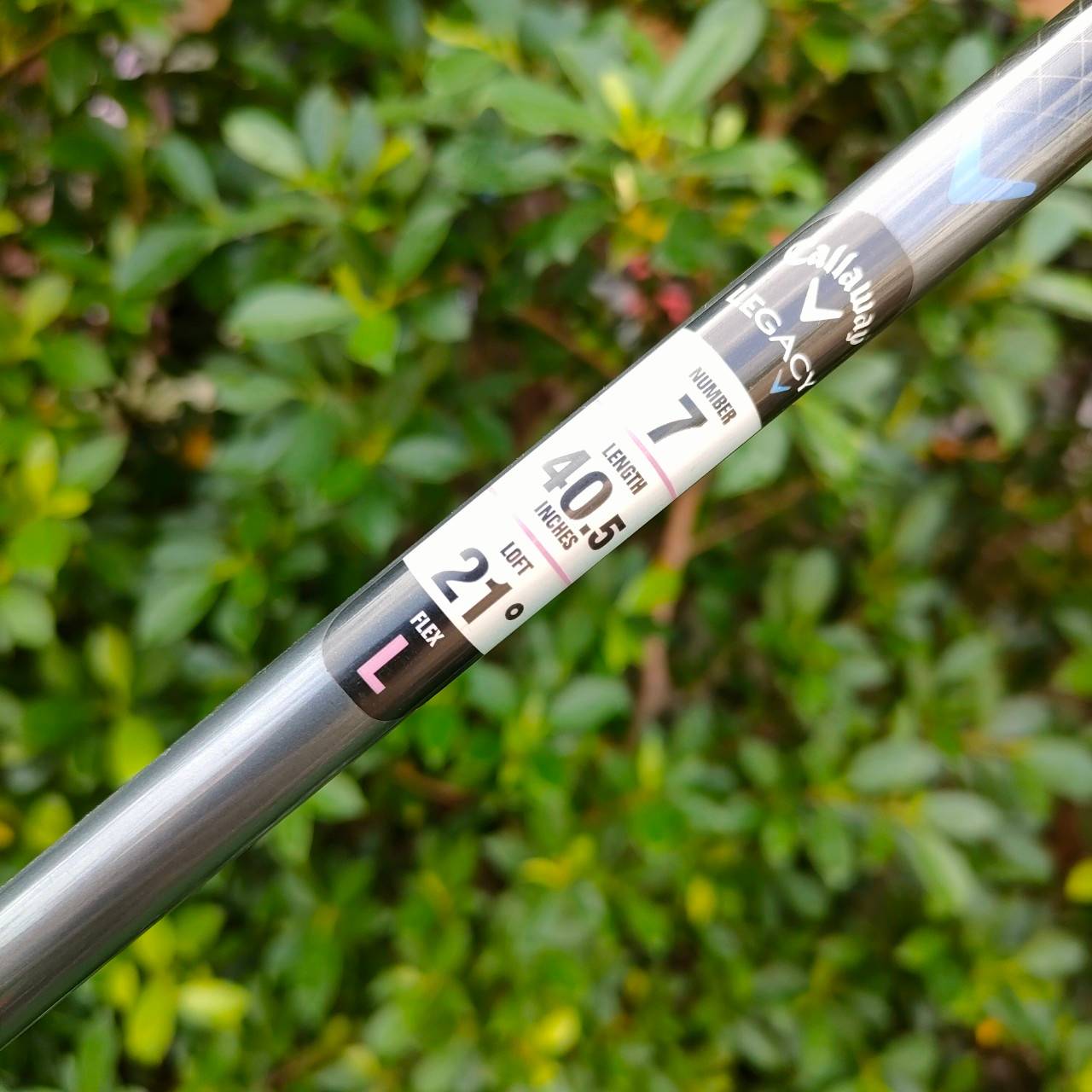 **ไม้กอล์ฟสำหรับผู้หญิง** FW7 CALLAWAY LEGACY LADY องศา 21 ก้าน SPEED AMORPHOUS FLEX L เป็นตัวพรีเมี่ยมของ Callaway