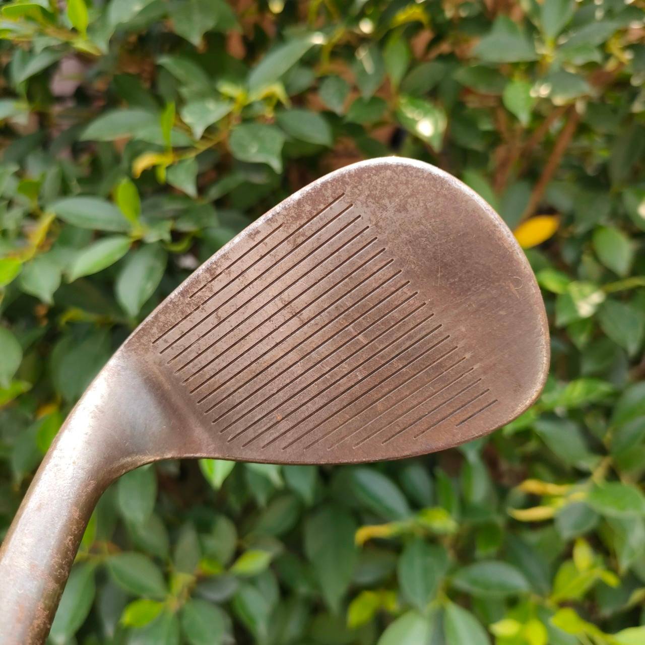 WEDGE CALLAWAY XSERIES V JAWS FORGED องศา 56 BOUNE 12