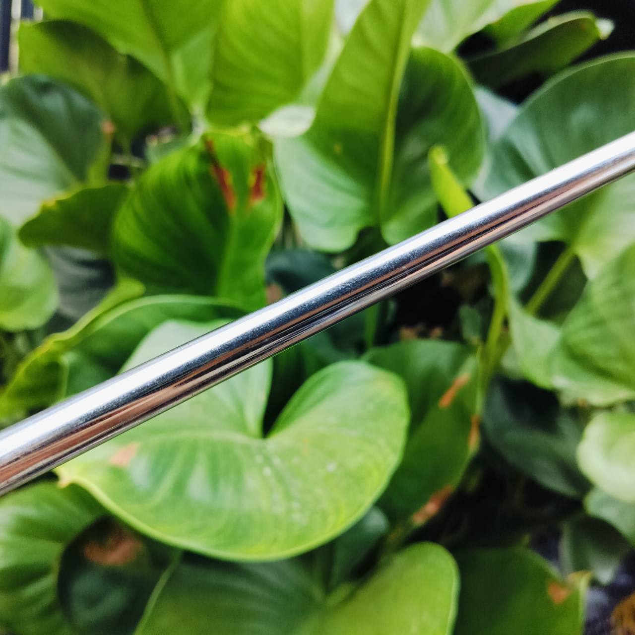 ลดล้างสต๊อค!!! PUTTER PROKENNEX PK47 ความยาว 35 นิ้ว เป็นแบบสามบอล ชดเชยความผิดพลาดสูง สโตรคง่าย ไม้กอล์ฟพรีเมี่ยมมือสอง ของแท้ By NakaraLuxurious