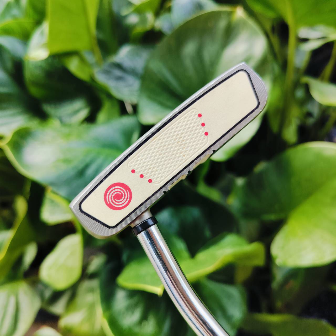 PUTTER ODYSSEY MARXMAN ยาว 35 นิ้ว กริพ GOLF PRIDE รุ่นนี้เล็งง่ายมากๆ เวลาสโตรคเบี้ยว จะเห็นเลยว่าเบี้ยว และรูปทรงออกแบบ ให้ชดเชยความผิดพลาดได้สูงมากๆ ไม้กอล์ฟพรีเมี่ยมมือสอง ของแท้ By NakaraLuxurious