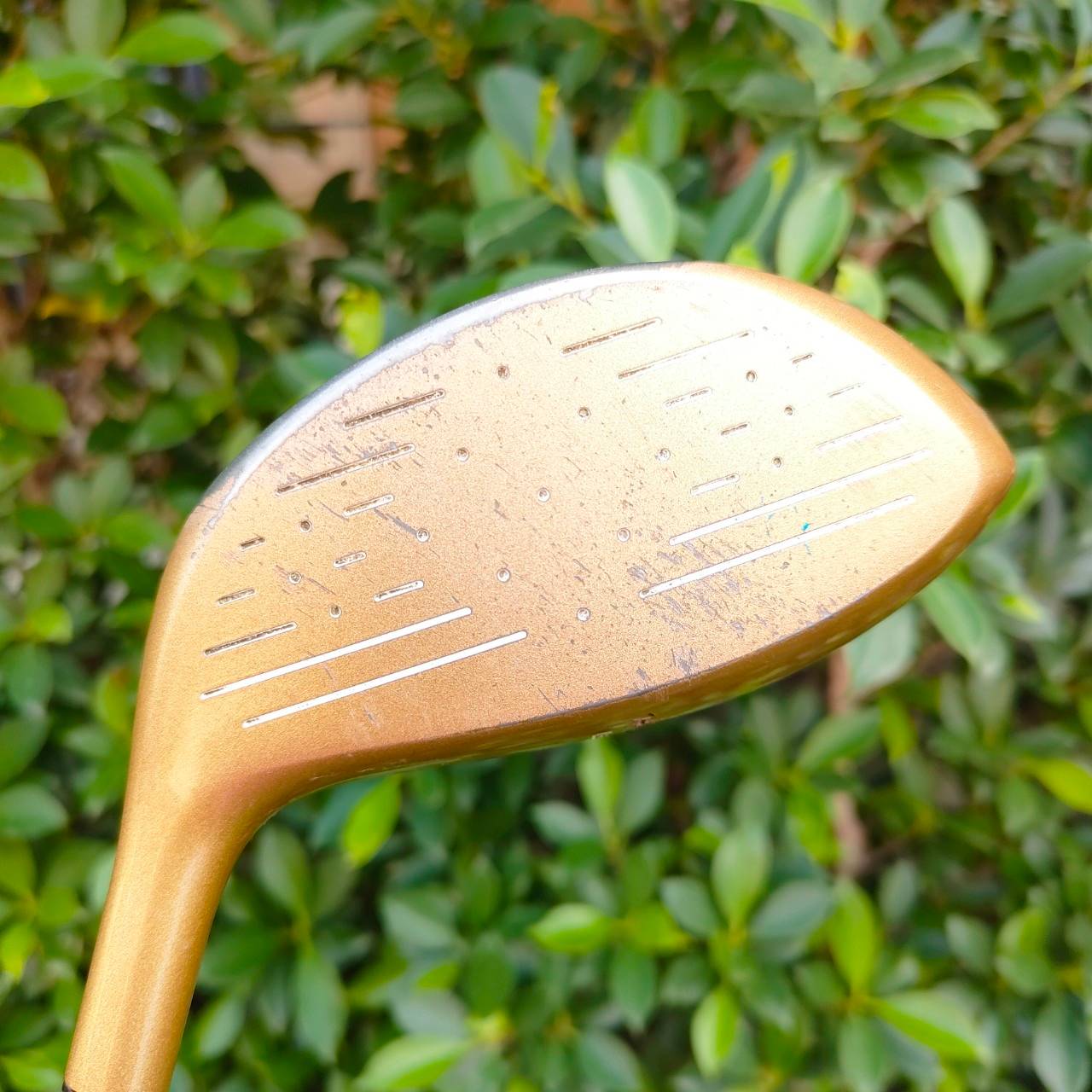 DRIVER HONMA LB-300 CC TITANIUM HEAD ก้าน NEW FEATHAR WOIGHR FLEX S พรีเมี่ยม JAPAN
