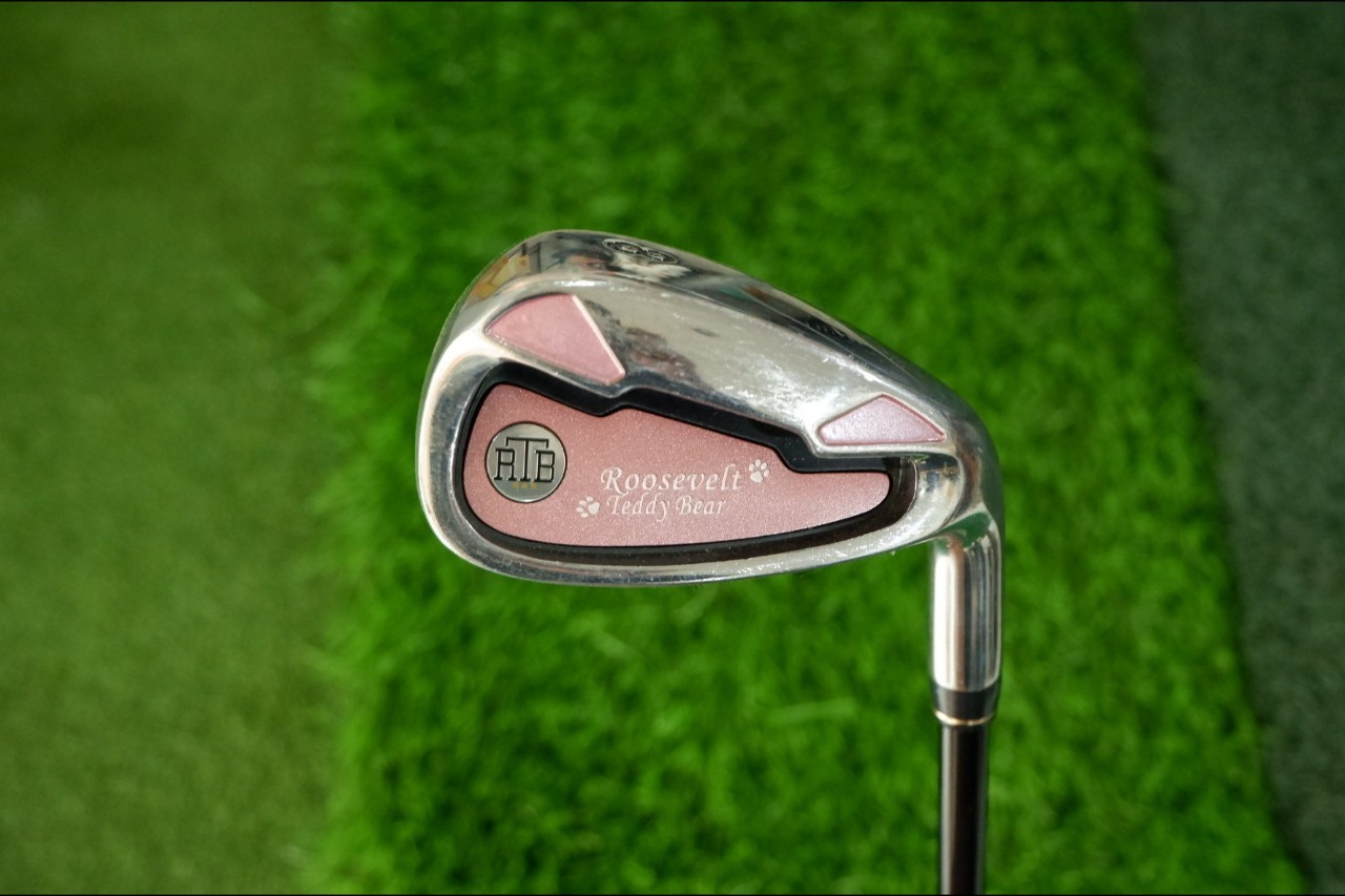 IRONSET ROOSEVEFT TEDDY BEAR