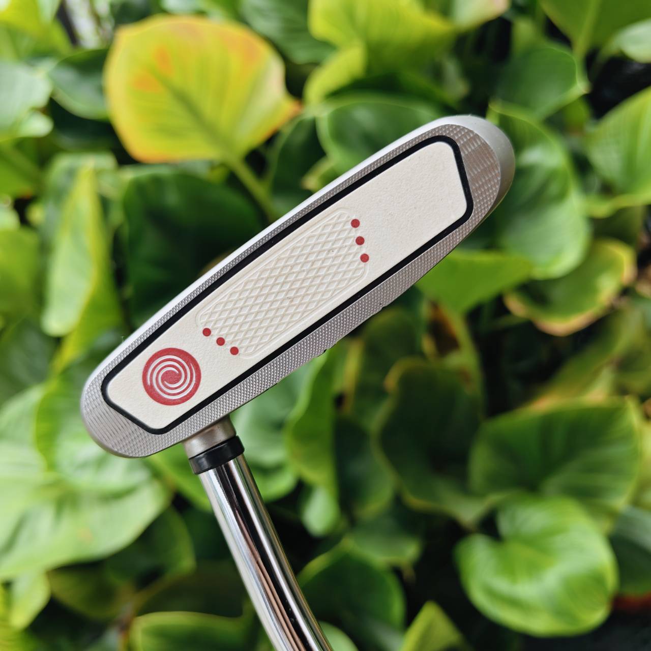 Putter Odyssey White Hot XG Teron พัตเตอร์หัว Mallet ดีไซน์ “Teron” ที่ขึ้นชื่อเรื่องการเล็งง่าย