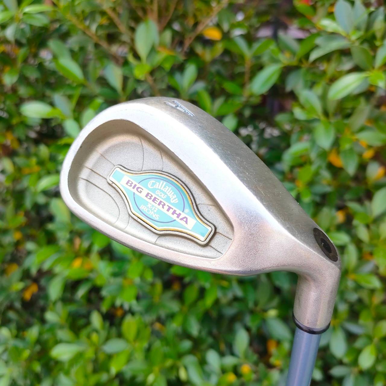 **ไม้กอล์ฟสำหรับผู้หญิง** ชุดเหล็ก CALLAWAY BIG BERTHA X-12 LADY มีเหล็ก 5-9 เเละ PW AW SW ก้าน SUPER JV200 FLEX L