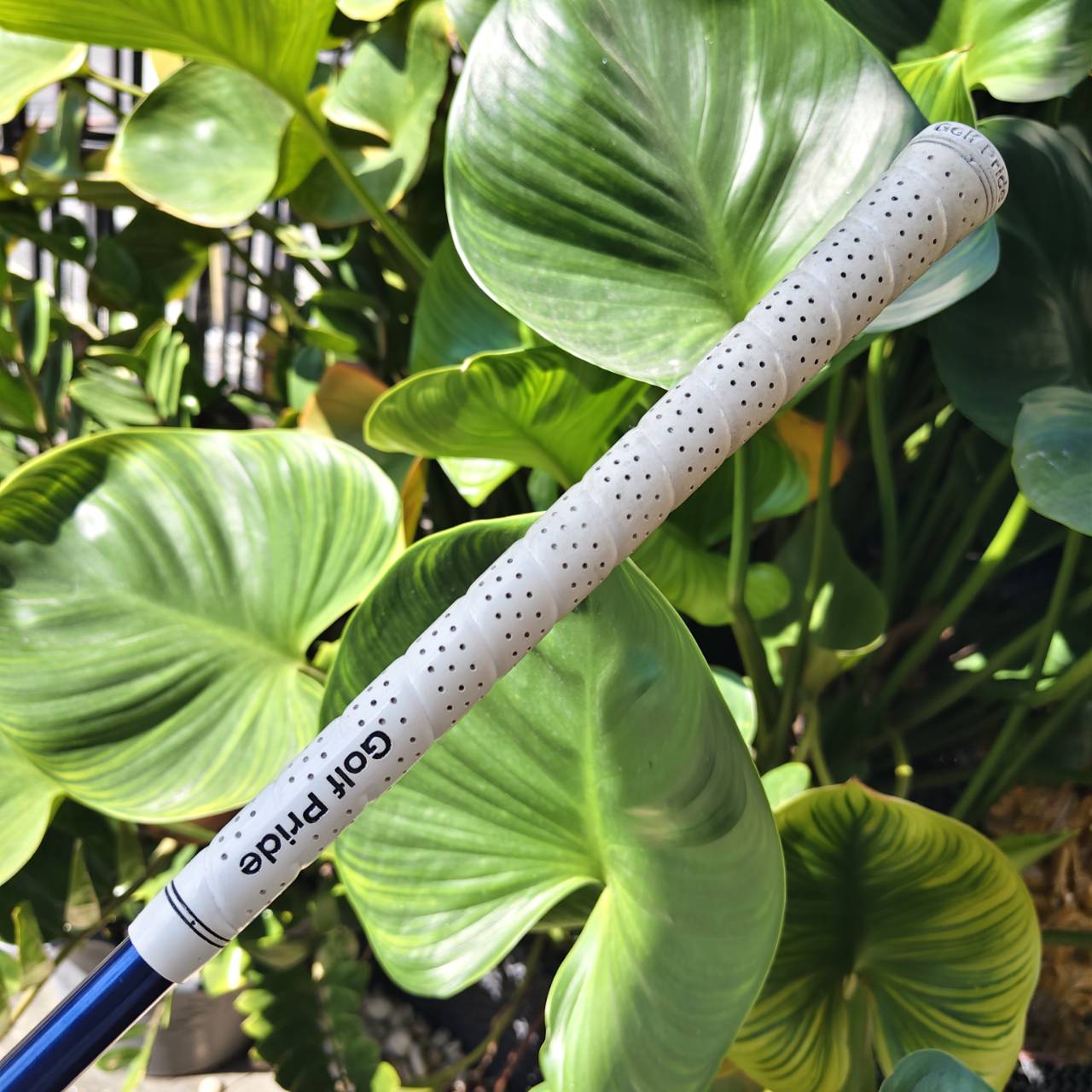 5W KATANA สวอด SL500 • ก้าน IZ50 GRAPHITE DESIGN • FLEX R ของดีสายตีไกลต้องไม่พลาด!