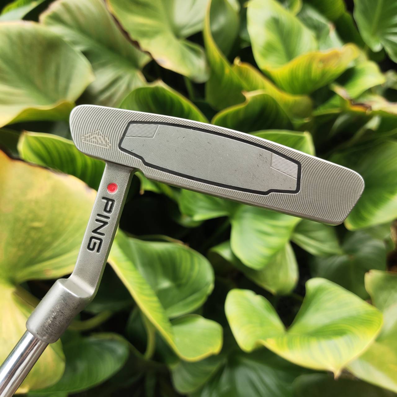 PUTTER PING ANSER iwi หน้าไม้ใส่ Insert iwi (lightweight insert) ที่สุดของการเกาะไลน์
