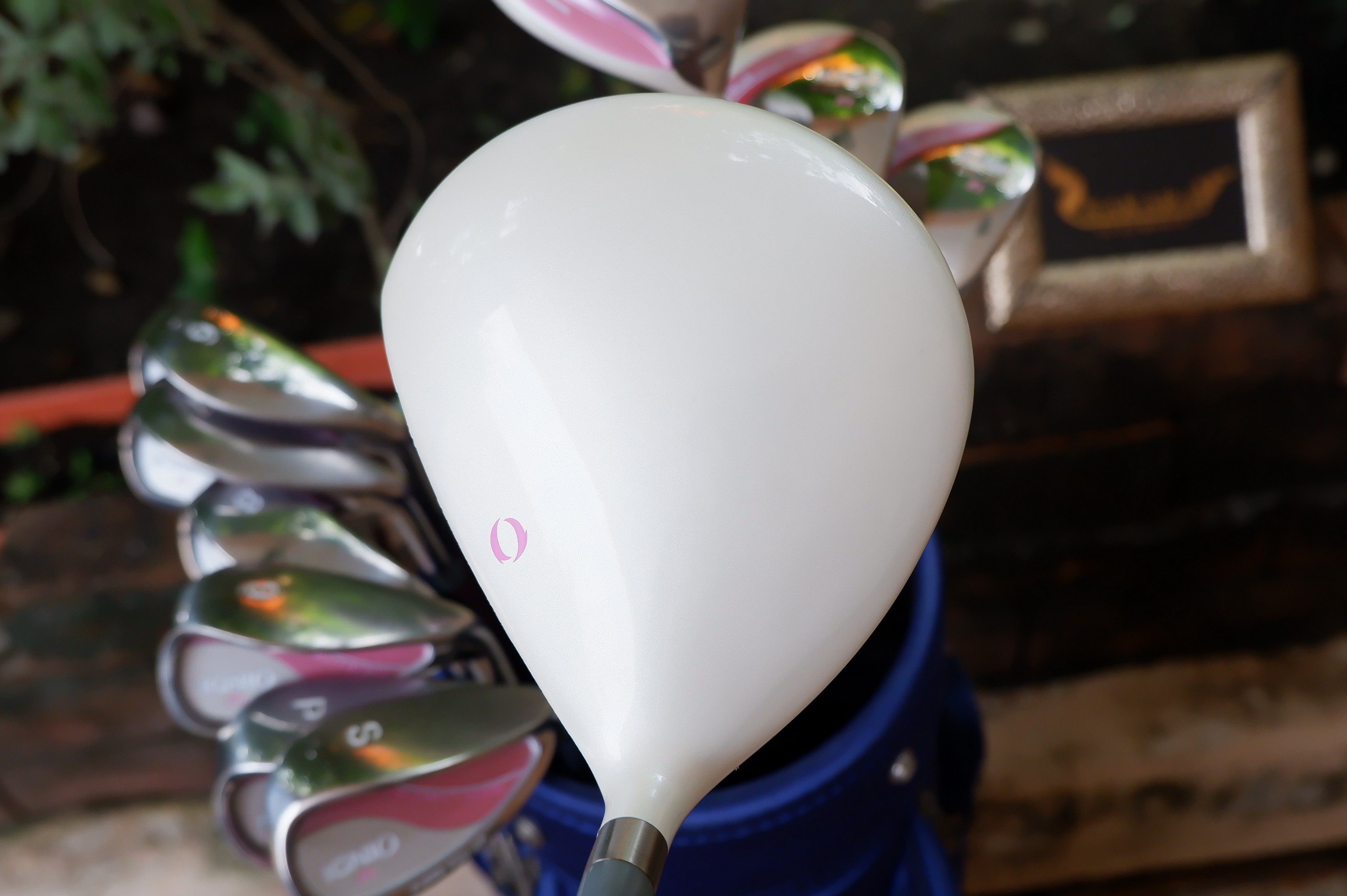 Full Set IGNIO FIRES YOU UP. EL