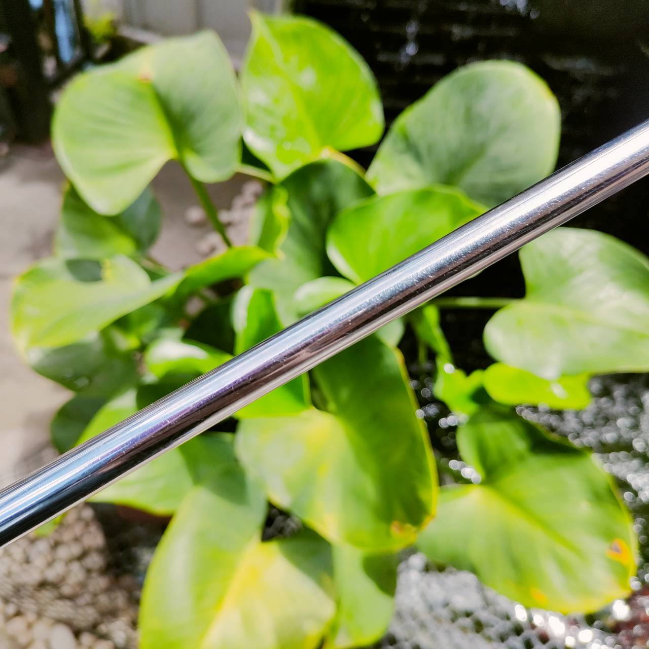 PUTTER Wilson Staff Kirk Currie IV ความยาว 34 นิ้ว STAFF ตัวนี้สุดพรีเมี่ยม ชดเชยความผิดพลาดสูงมากๆๆ พัตต์นิ่งมาก ตรง เล็งง่าย หน้า MILLED เกาะไลน์แบบสุดๆ ครบเครื่อง ไม้กอล์ฟพรีเมี่ยมมือสอง ของแท้ By NakaraLuxurious