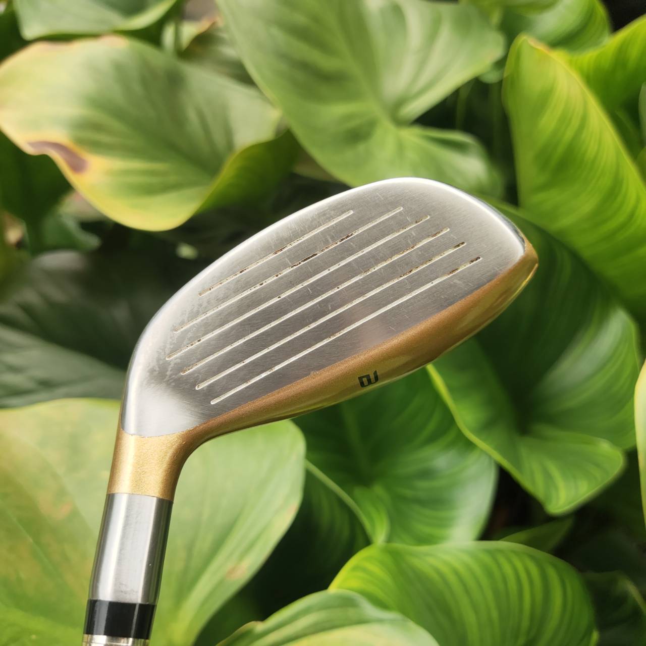 ก้าน 4 ดาว แพงมาก!!! ทอง 24K HONMA BERES U-813 4 Star ที่สุดของไม้พรีเมี่ยม JAPAN SAKATA