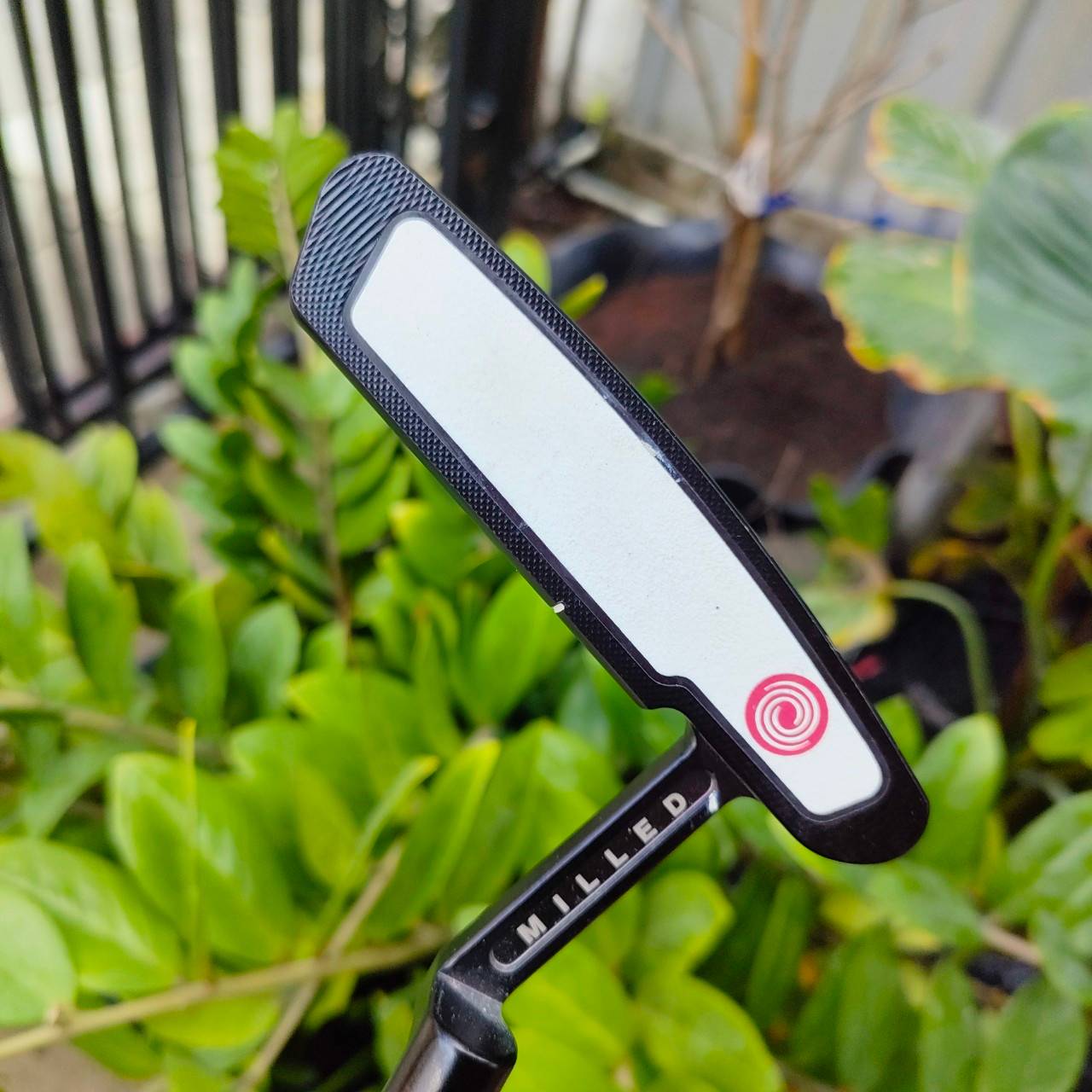 ** ไม้กอล์ฟสำหรับท่านที่ถนัดซ้าย ** PUTTER ODYSSEY BLACK SERIES ความยาว 33 นิ้ว **กริฟมีตำหนิ** น้ำหนักดีมากๆ พัตต์นุ่ม นิ่ง วางทังสเตน ไว้ได้อย่างลงตัวมาก งานสุดพรีเมี่ยม! ไม้กอล์ฟพรีเมี่ยมมือสอง By NakaraLuxurious