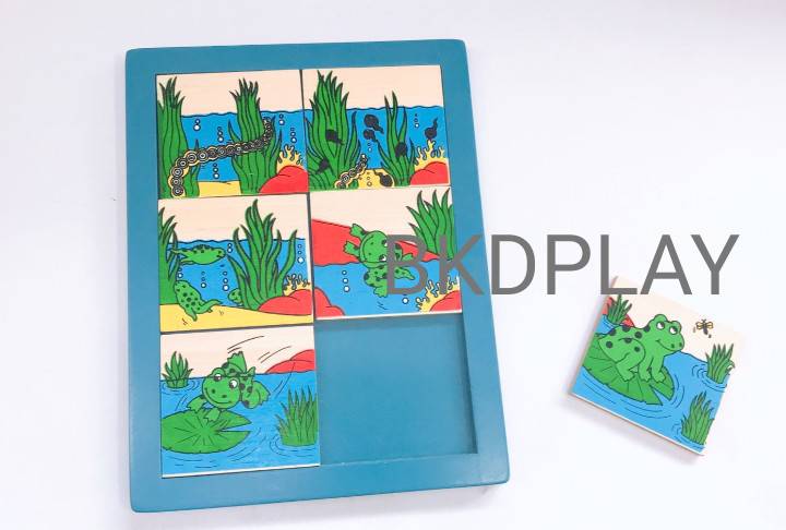 ของเล่น, ของเล่นเด็ก, จิ๊กซอว์, ตัวต่อ, เกมลำดับเหตุการณ์สัตว์ , ของเล่นไม้, ของเล่นเสริมพัฒนาการ, ของเล่นเด็กอนุบาล, สื่อการสอนเด็กอนุบาล