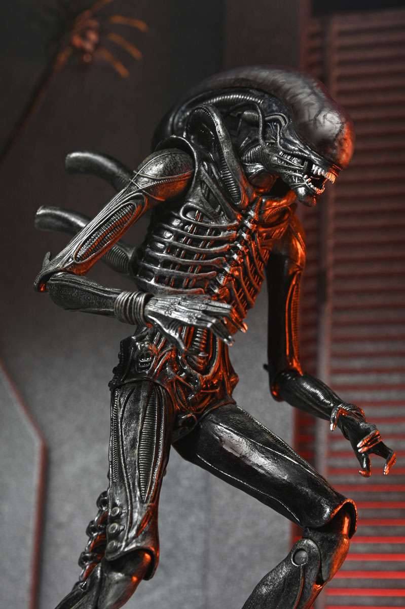 [สั่งจอง]Neca : Xenomorph XX121