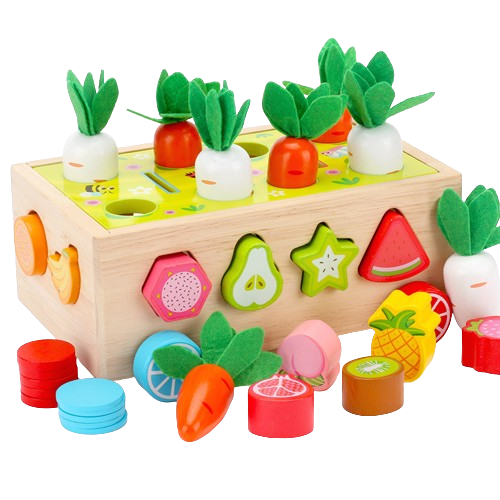 ชุดฝึกสมองเสริมพัฒนาการ 3-4 ขวบ BrainKit 3 , สำหรับเด็กอายุ 3-4 ปี กระตุ้นพัฒนาการ โรงพยาบาล สื่อการสอน โรงเรียน