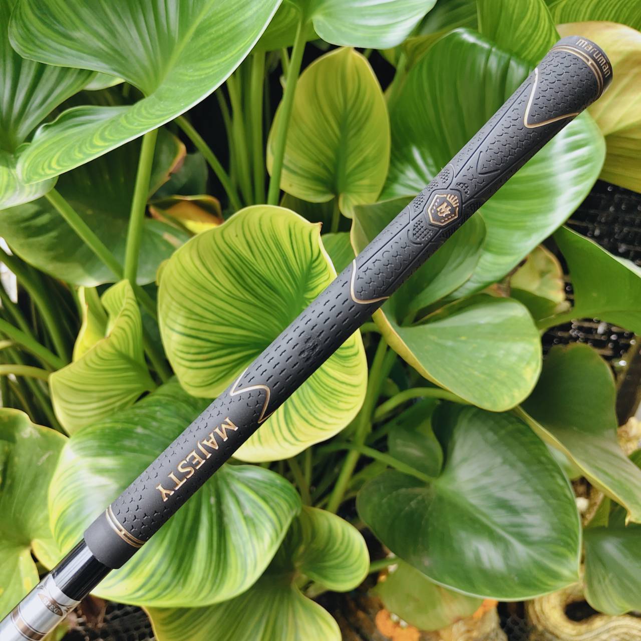 MAJESTY Royal SP Driver – พรีเมียมจากญี่ปุ่น ฟีลลิ่งนุ่ม แต่พลังตีเกินคาด 🇯🇵✨
