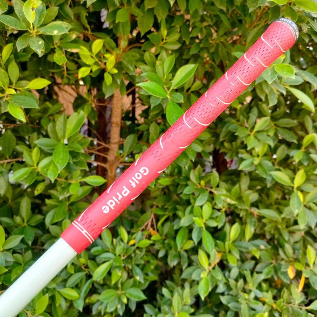 DRIVER ABROND FORGED CUP FACE SP700 ก้าน TOUR VERSION RED 680 FLEX S Driver หน้าเด้ง วัสดุ FORGED TITANIUM ไม้กอล์ฟมือสอง ของแท้ BY NakaraLuxurious