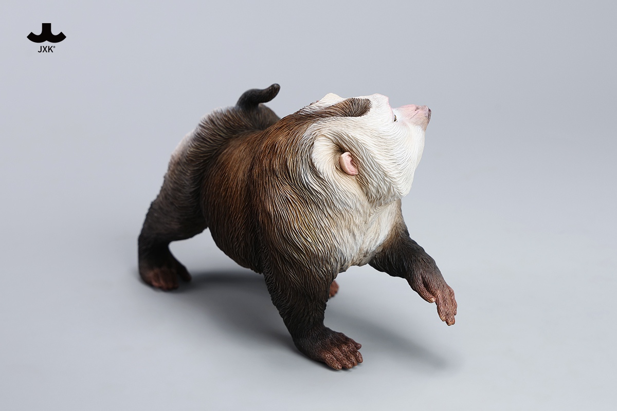 [สั่งจอง]JXK JXK250 1/6 : Northern Pigtail Macaque Figurine