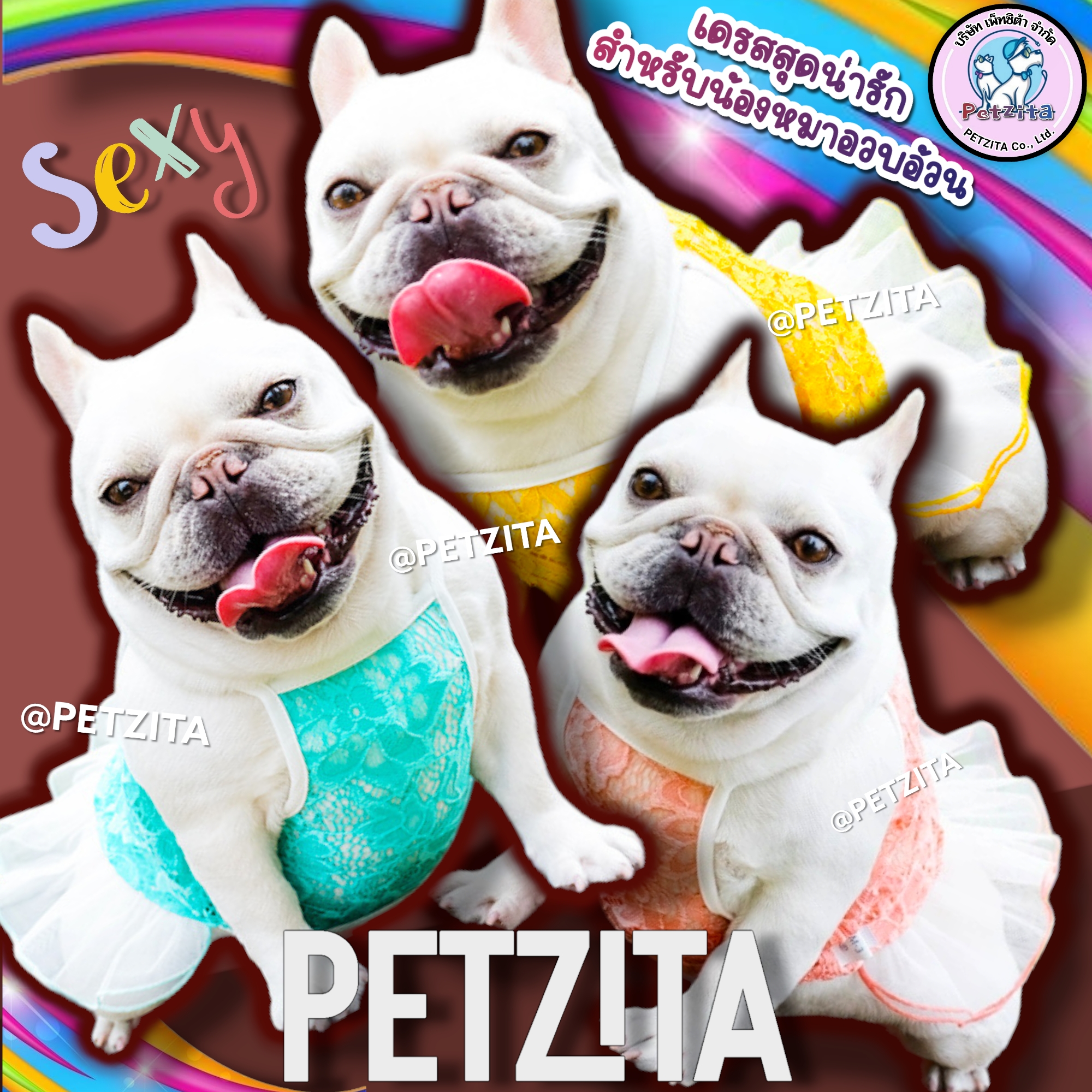 🇹🇭พร้อมส่ง🇹🇭 💓💛💚 เดรสสุดน่ารัก หมาอ้วน 💗 for pet เสื้อผ้าสัตว์เลี้ยง สุนัข เดรสหมา ชุดแมว