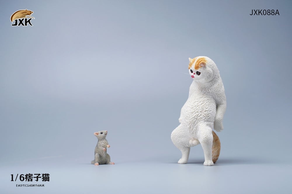 [สั่งจอง]JXK JXK088 1/6 : Exoticshorthair