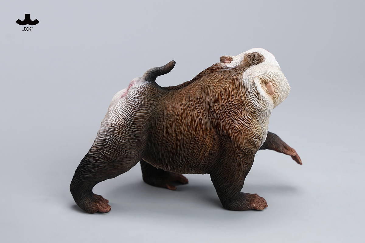 [สั่งจอง]JXK JXK250 1/6 : Northern Pigtail Macaque Figurine