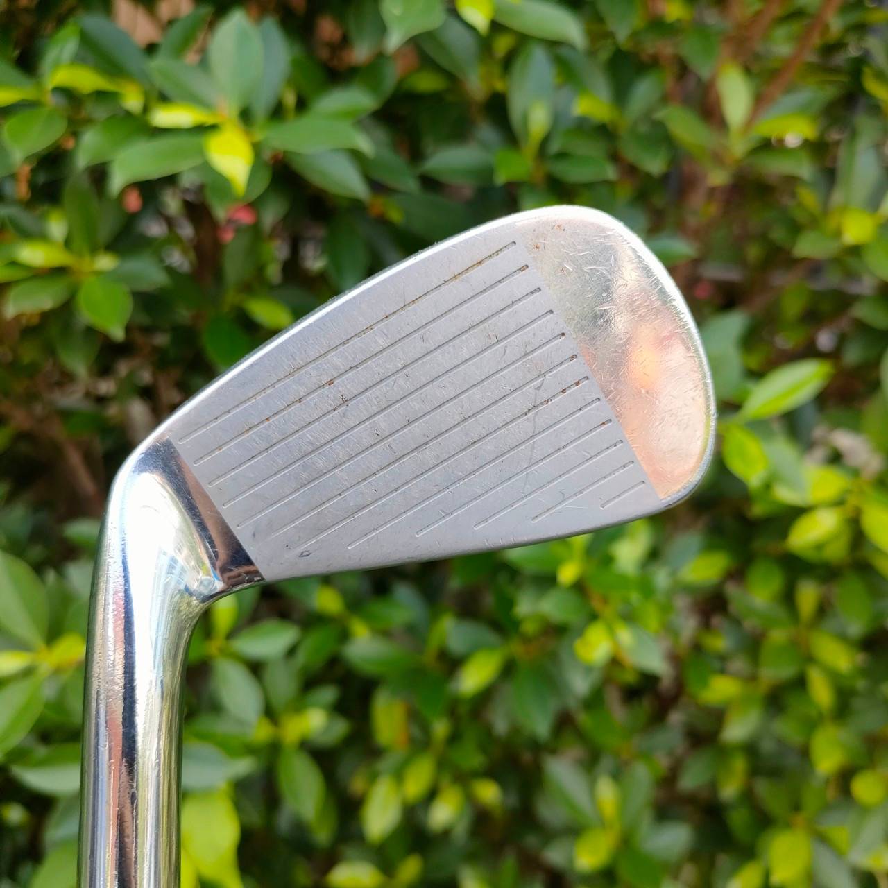 เหล็ก 4 MIZUNO MP-69 GRAIN FLOW FORGED ก้าน N.S.PRO 950 GH FLEX S สุดยอดพรีเมี่ยม FORGED จากญี่ปุ่น
