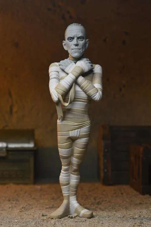 [สั่งจอง] NECA Universal Monster : Toony Terrors Series 10 Asst