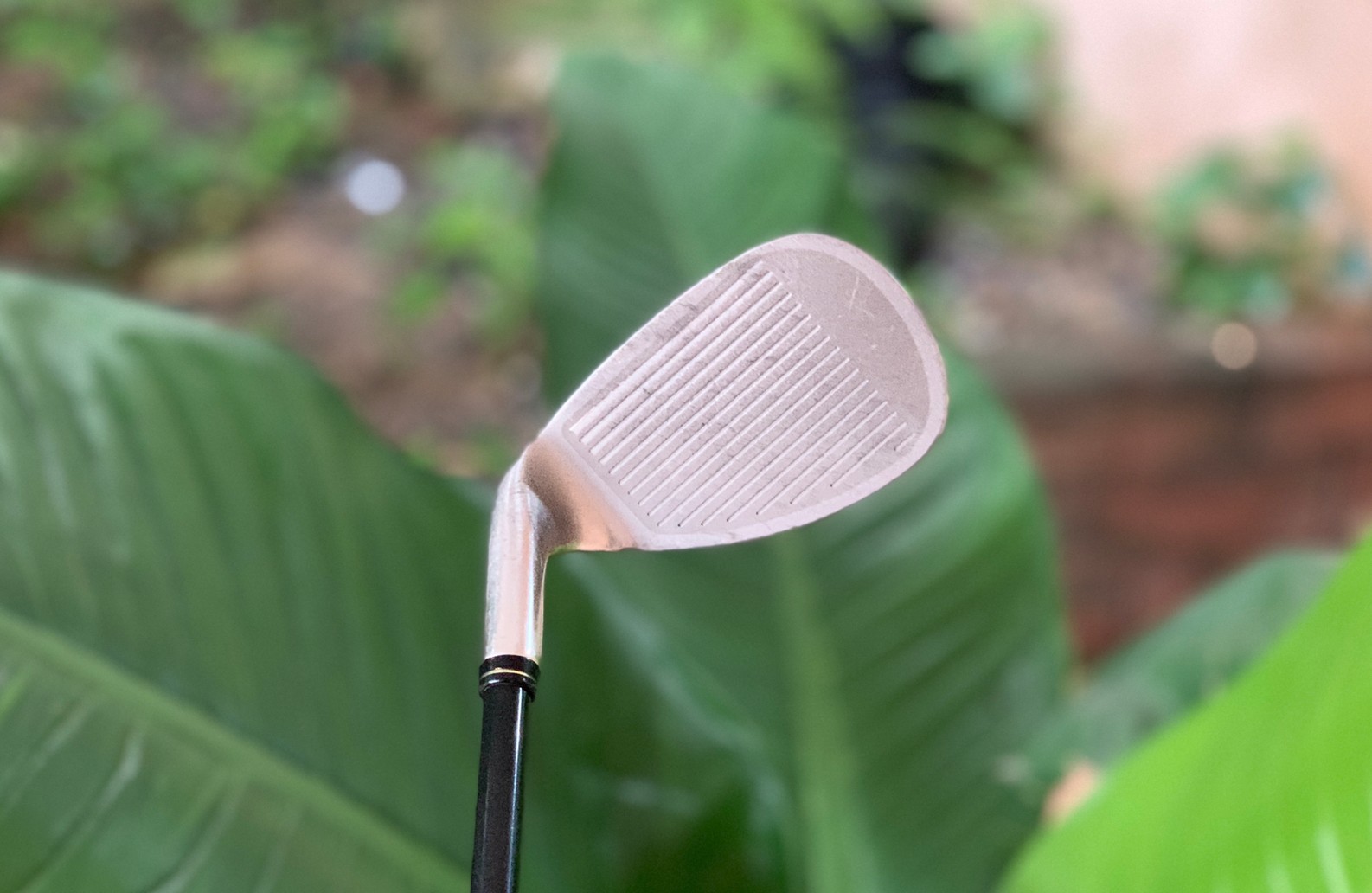 SW XXIO IMPACT POWER FACE