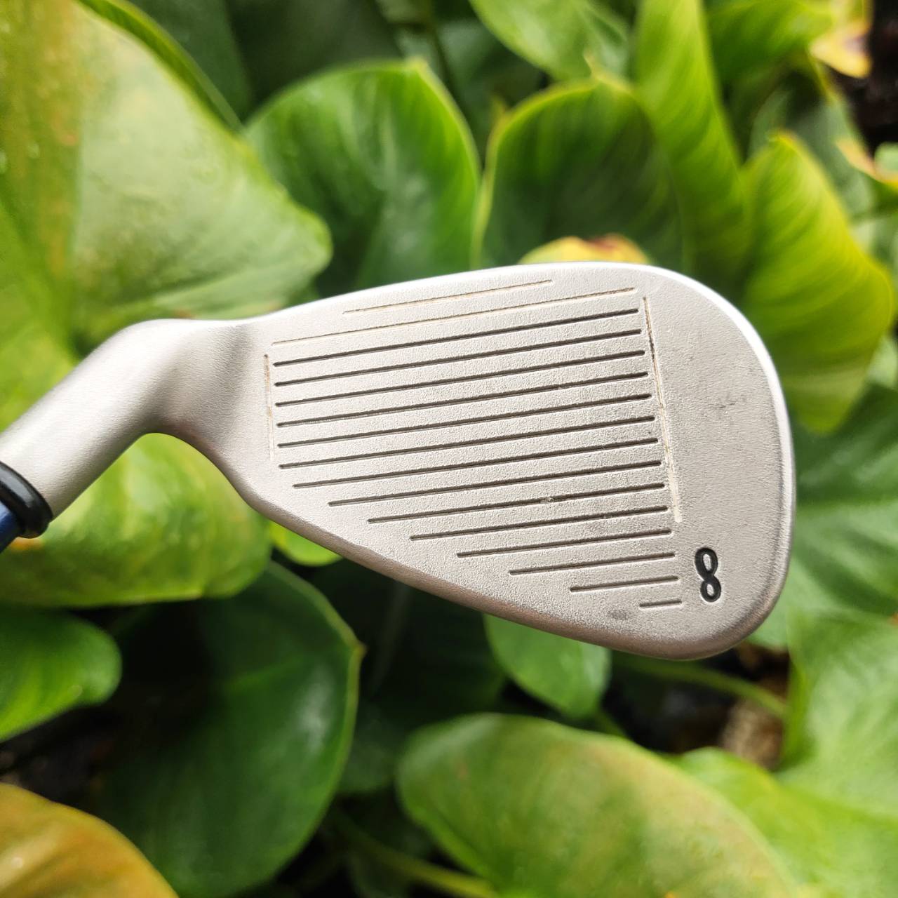 เหล็ก 8 CALLAWAY BIG BERTHA เป็นก้านแบบ JAPANSPEC ตีง่ายมาก วัสดุดีมาก ชดเชยสูงมาก ก้านเสียบแบบทะลุ ตีได้ฟีลลิ่งมาก หาเหล็ก 8 อยู่ พลาดไม่ได้ค่ะ!!!