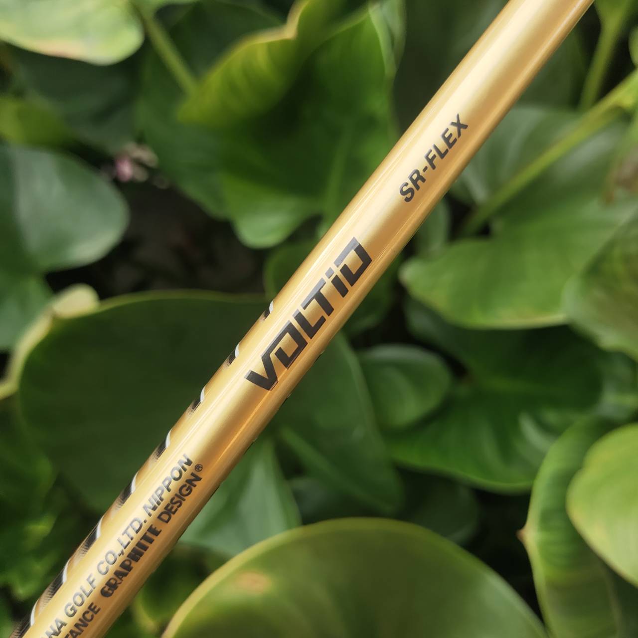 SW VOLTIO GOLD เป็นเวดจ์ระดับพรีเมียม เล่นลูกสั้นรอบกรีนได้อย่างแม่นยำและมีประสิทธิภาพ