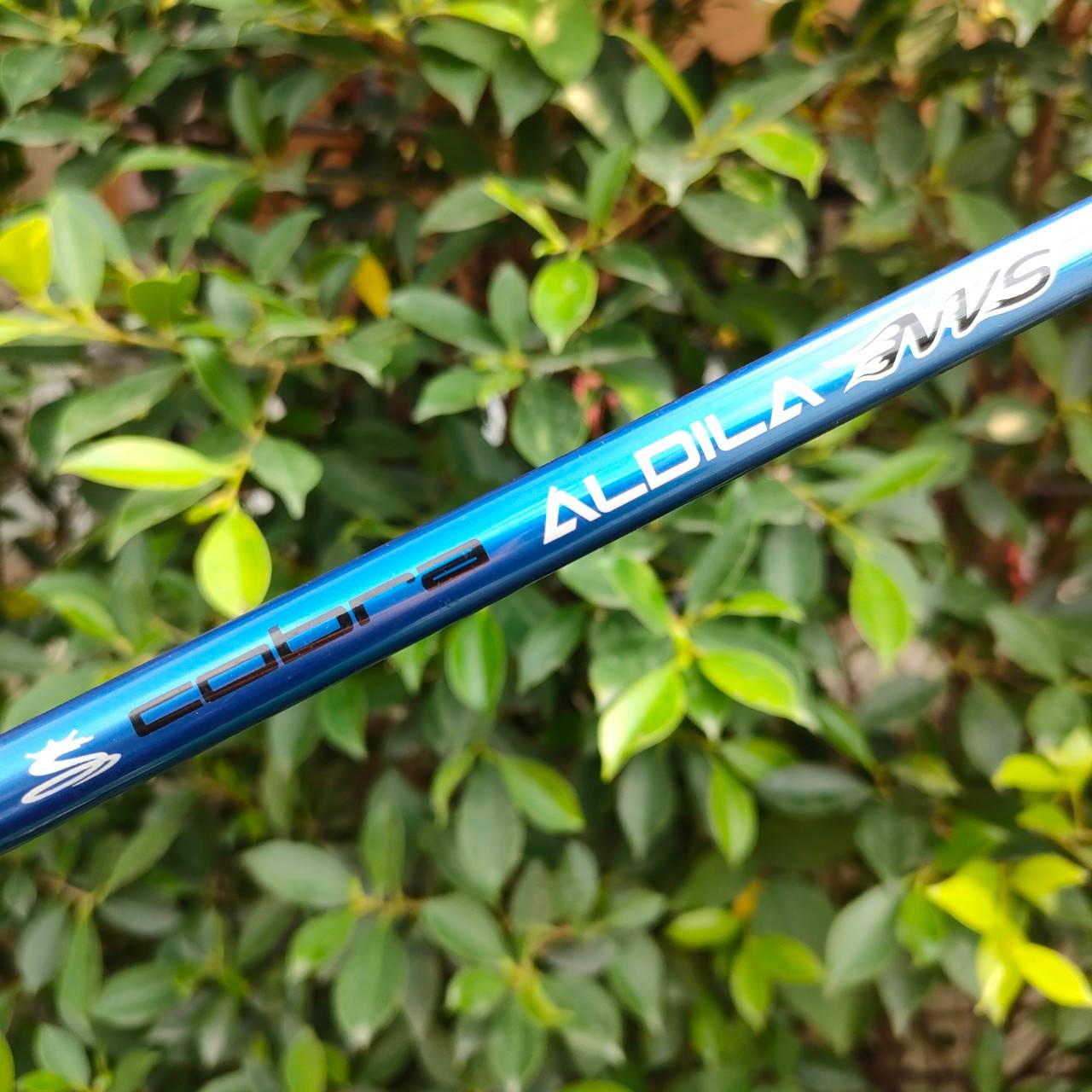 FW5 KING COBRA SPEED LD OFFSET M/ST ก้าน ALDILA NVS FLEX R ทรงช่วยให้ลูกลอยง่าย เสียงกิ๊งแน่นๆ ก้านดีมากๆครับผม