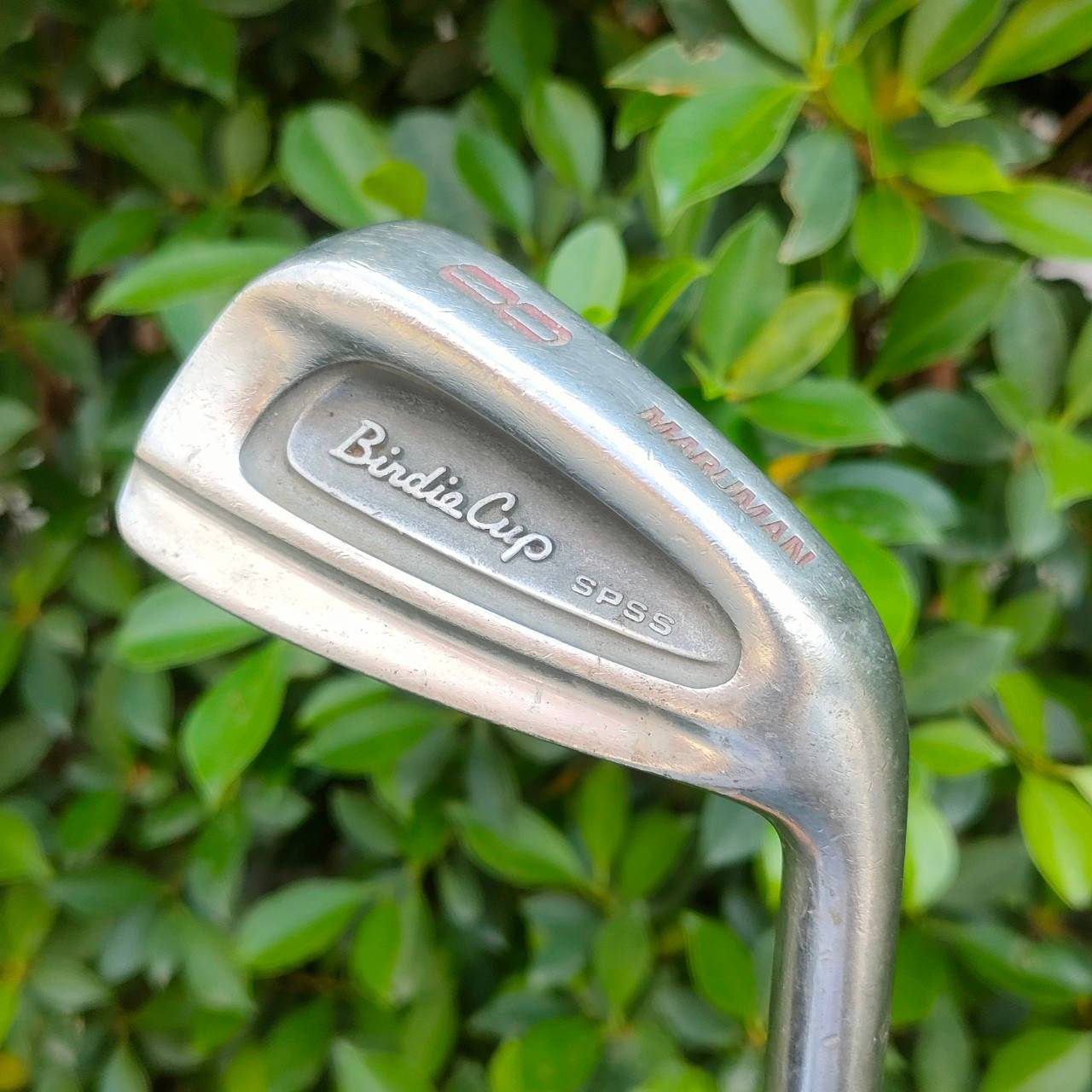 ** ไม้กอล์ฟสำหรับผู้หญิง ** ชุดเหล็ก MARUMAN BINDIA CUP SPSS มีเหล็ก 5-9 เเละ PW SW ก้าน COBALT CARBON FLEX L