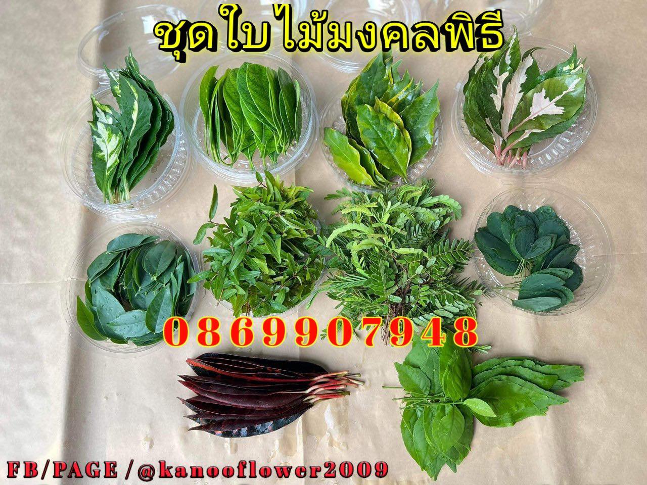 ใบไม้มงคล (พิธี)