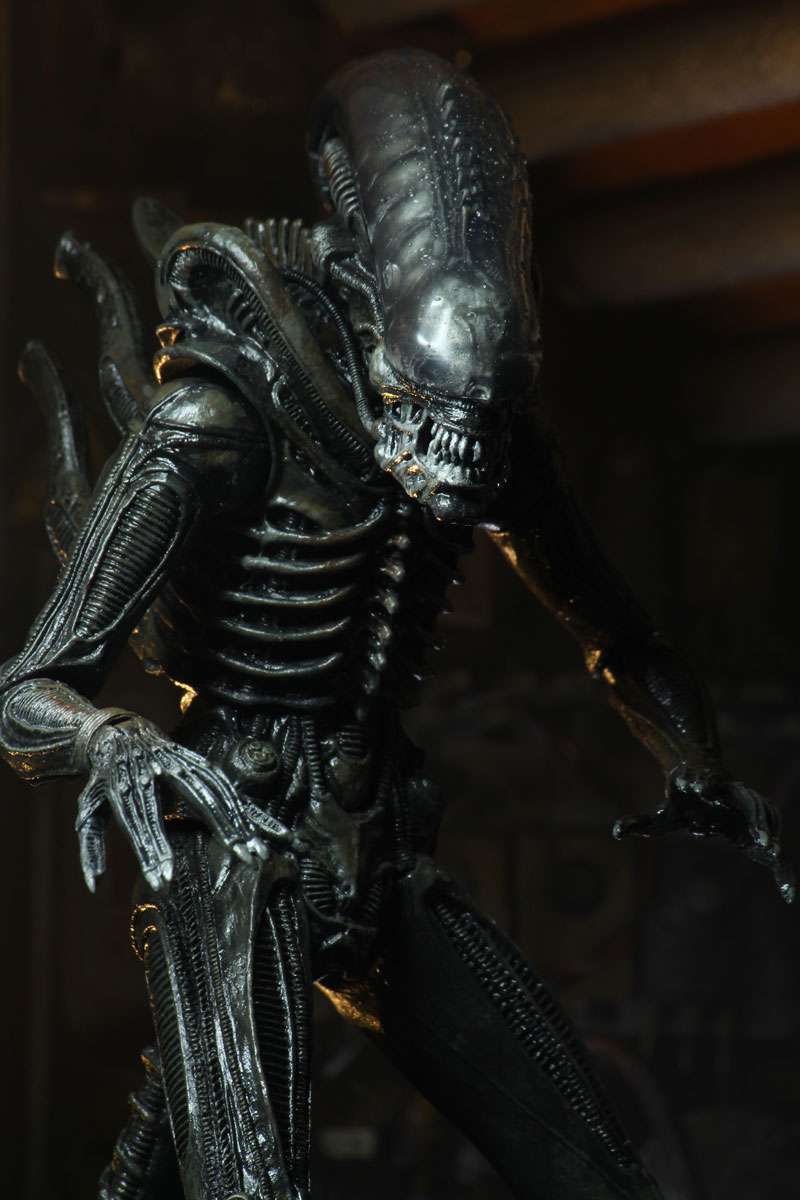 [สั่งจอง]Neca : Ultimate Alien Big Chap 40th Annniversary(9นิ้ว)