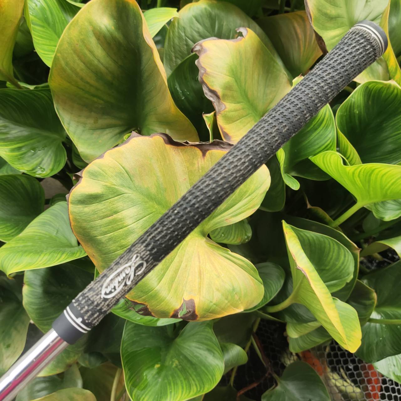 WEDGE VOKEY DESIGN 260-04 รุ่น OIL CAN สนิม! ระดับเทพ ระดับตำนานของ BOB VOKEY