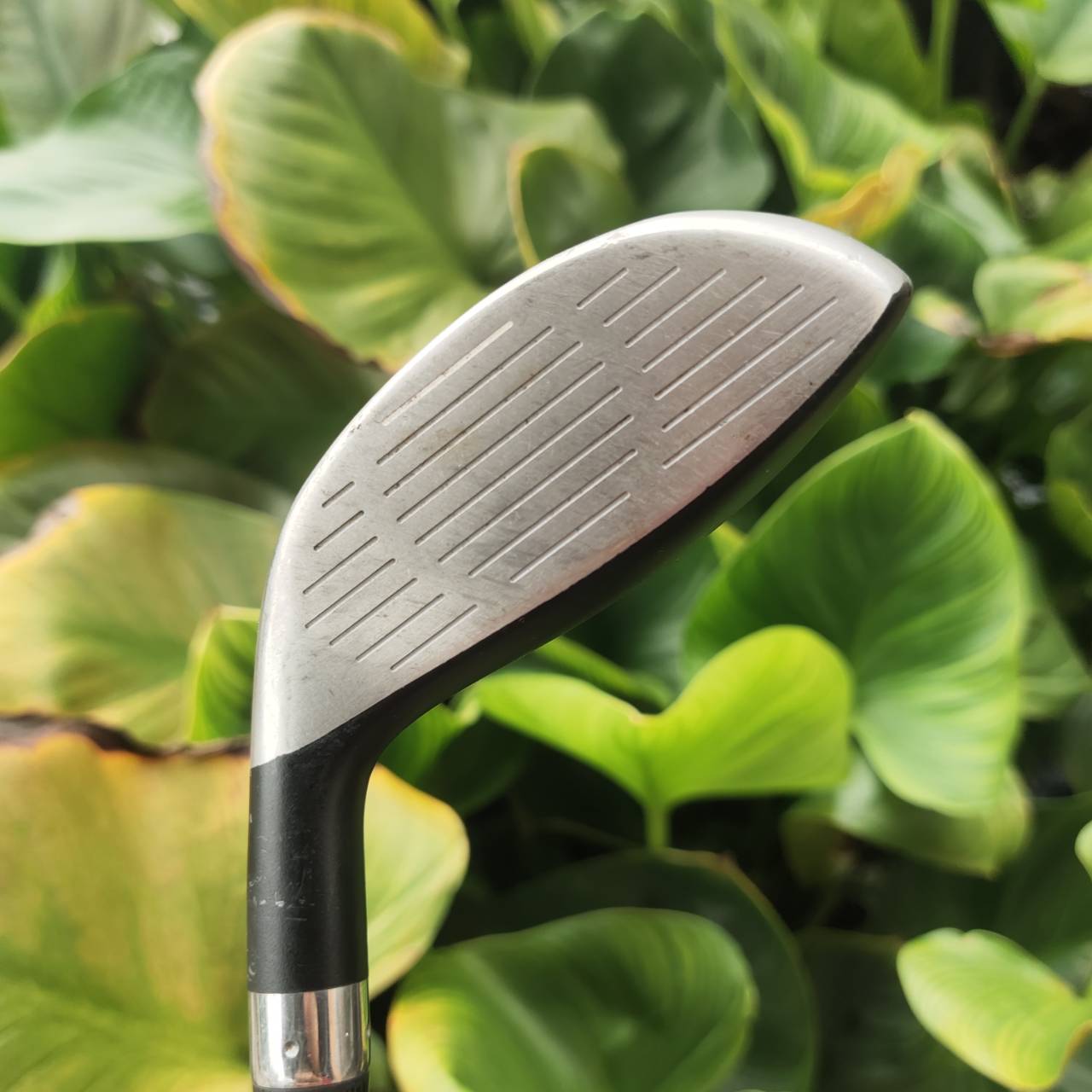 NIKE SUMO2 U2 – Loft 17° | ก้าน DIAMANA S ยูทิลิตี้ทรงเหลี่ยมรุ่นดัง! ตีง่าย หน้าเด้ง ลูกพุ่งเร็ว!