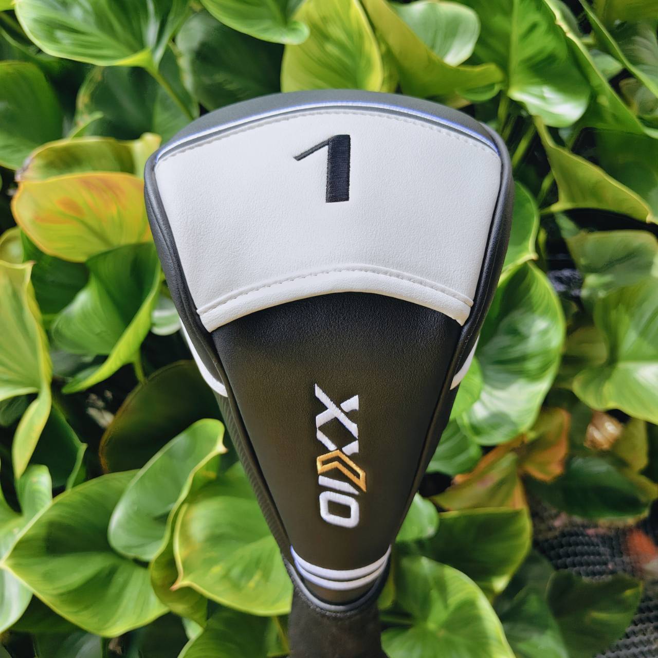 XXIO ELEVEN Driver (ก้าน MP1100K Flex S) Titanium Face (Super-TIX® 51AF) → บาง ให้แรงดีดสูงมาก